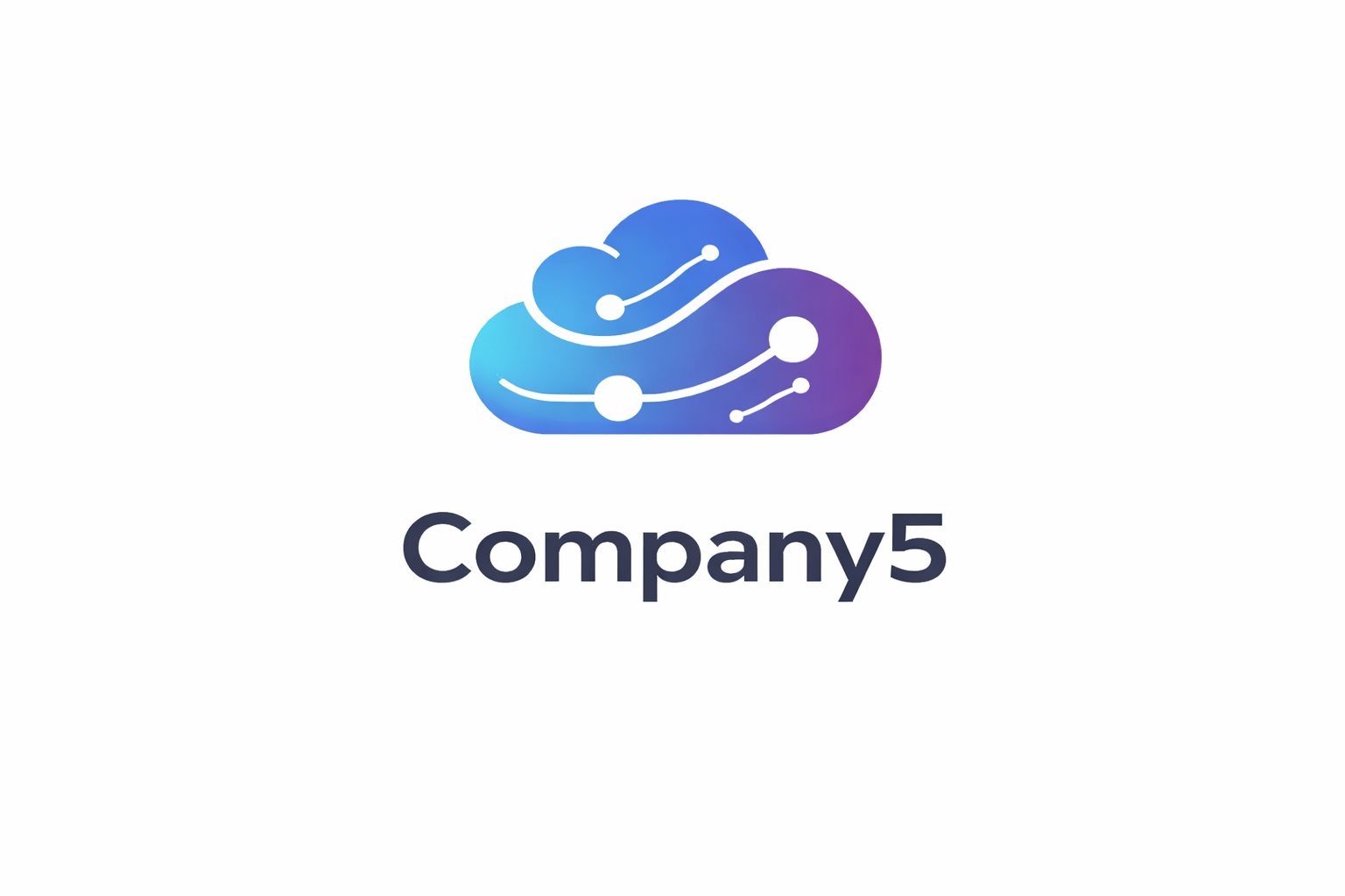 Company 5